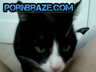 Litte Pet Gets Lick Pussy