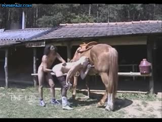 Horse Fucker Porn