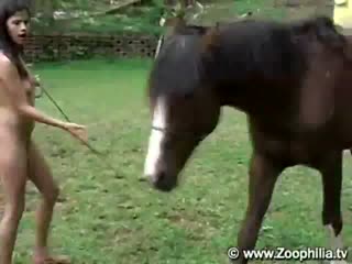Sexy brunette plays dirty games with a horse