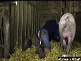 A Pig Fucks My Husband: A True Story