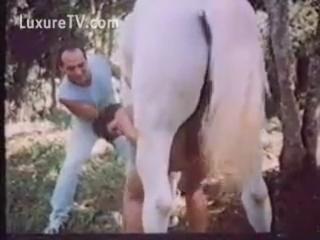 Zoo sex xxx free download animal movie zoophilia sex xxx zoo a trio with a horse.